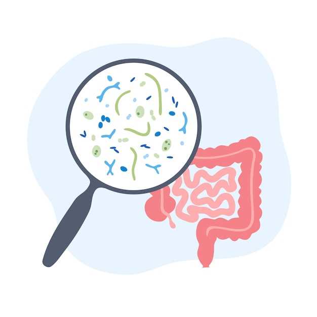 – Какой вид кишечных бактерий пострадает больше всего и как это сказывается на здоровье