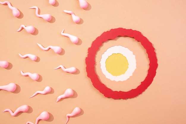 Методы улучшения здоровья яичек через заботу о нервной системе