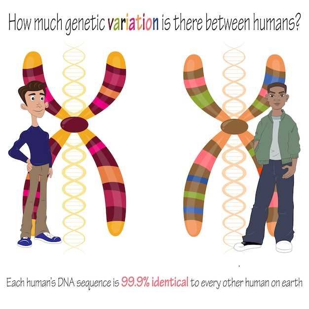 Количество хромосом в организме человека
